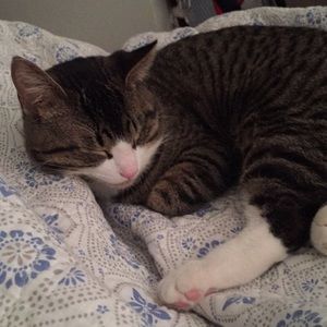 Meet your Posher, Michelle